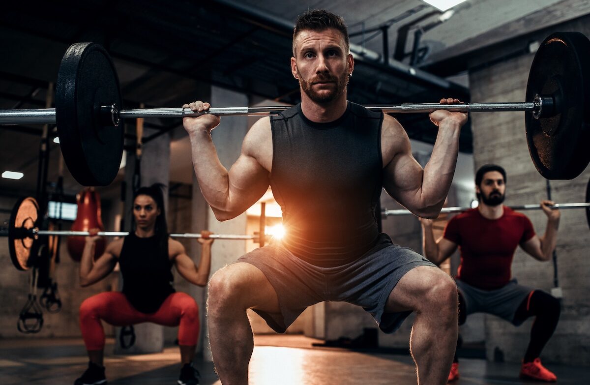 forza rapida o veloce forza rapida o veloce